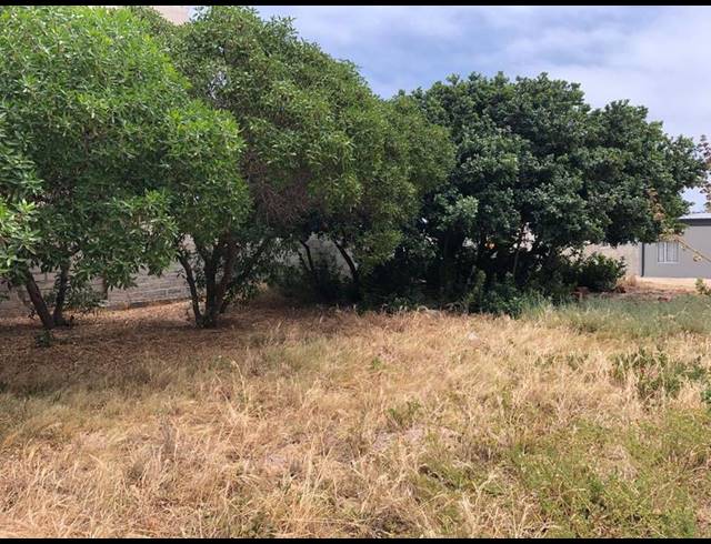 LAND FOR SALE IN DE KELDERS